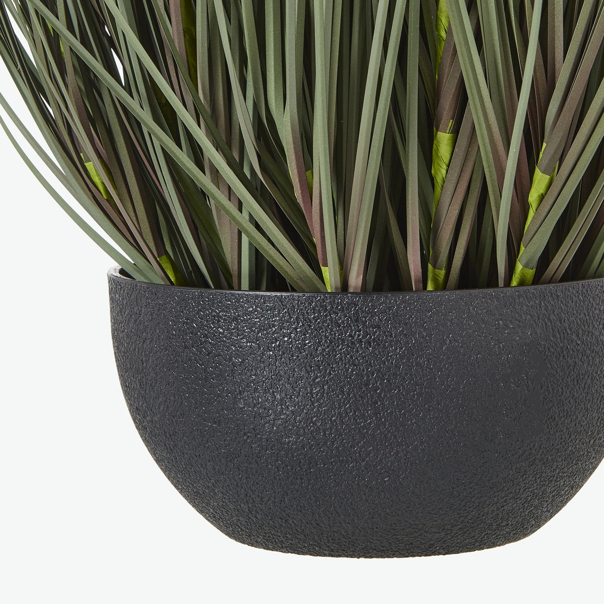 Close view of the rounded black pot's stippled surface beneath a dense cluster of green grass blades.