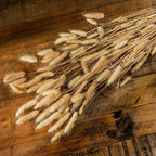 Botanical stems spread diagonally across a wooden surface, with pale fuzzy seed heads fanning towards the lower left.