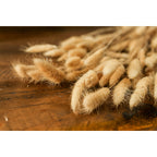 Close-up of cream and tan seed heads lying on a wooden surface, showing their fine fuzzy edges.