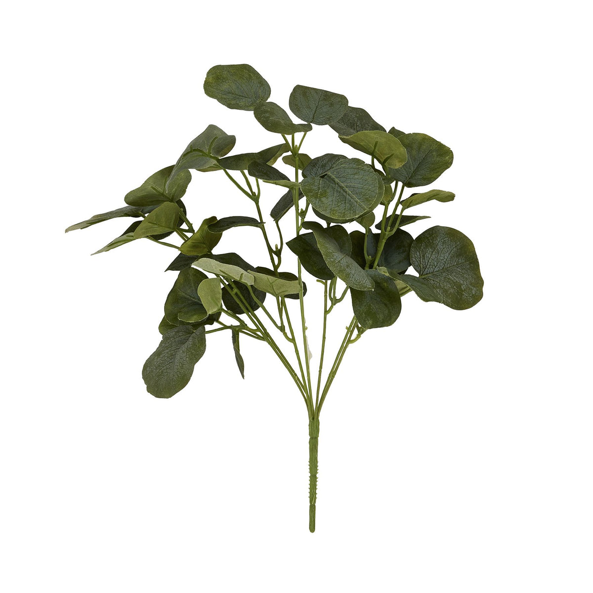 Gathered Coinleaf artificial foliage bunch against white, with rounded green leaves on fine stems meeting at a single base.