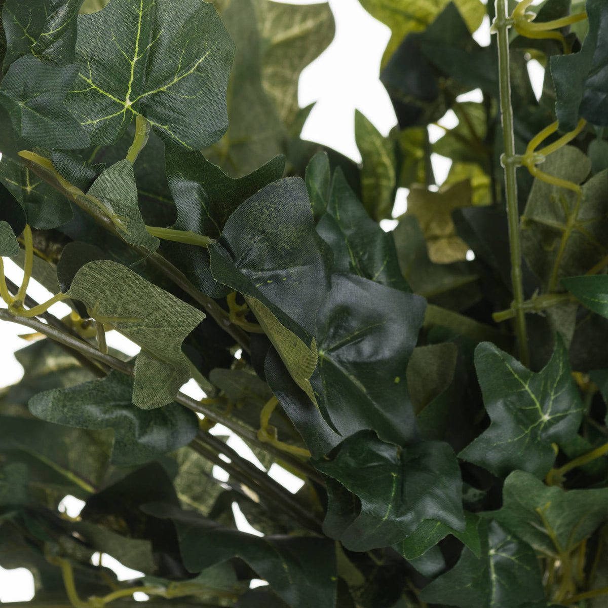 Close-up of overlapping artificial ivy leaves showing pale veins, mottled green surfaces and slender branching stems.