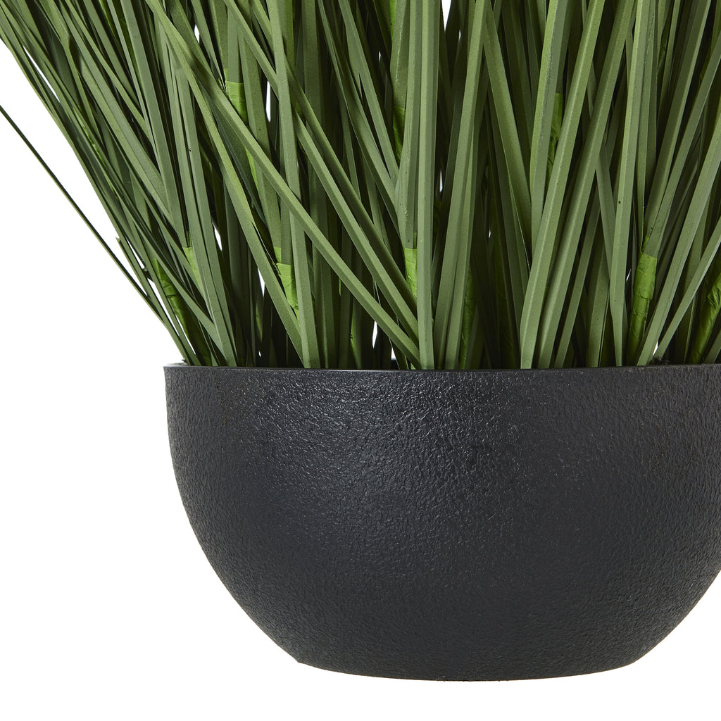 Detail of the rounded black pot's textured surface beneath tightly grouped green grass blades.