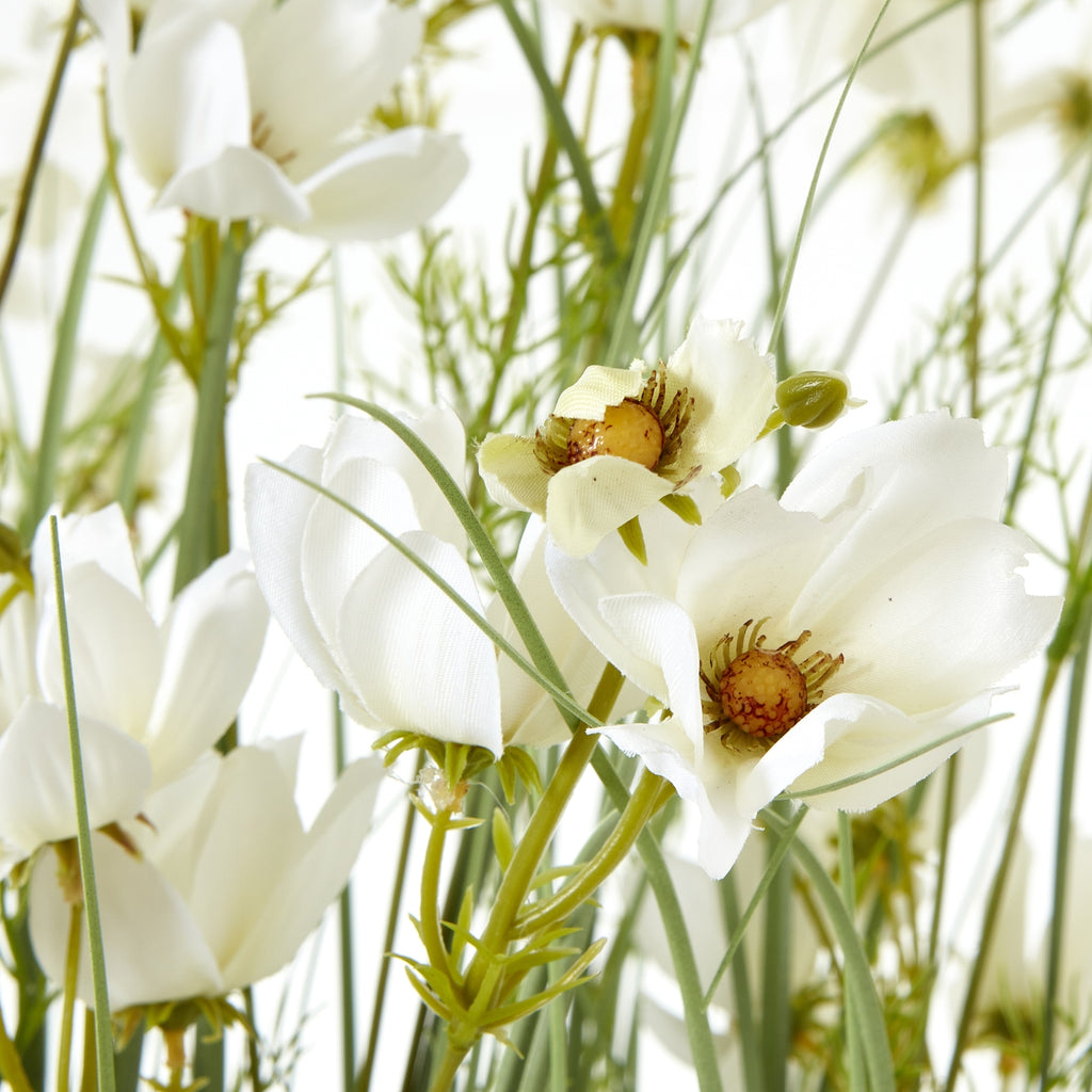 Close-up of open white flower petals with warm yellow-brown centres among fine green stems and grass blades.