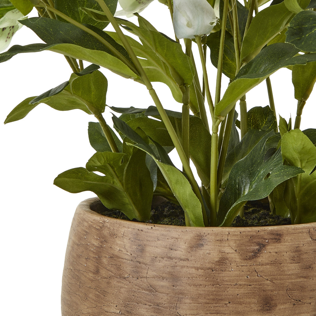 Detail of green stems and lower leaves above the rounded rim of the textured taupe pot.