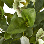Close-up of overlapping green hellebore leaves with visible vein markings and pale speckled petals behind.