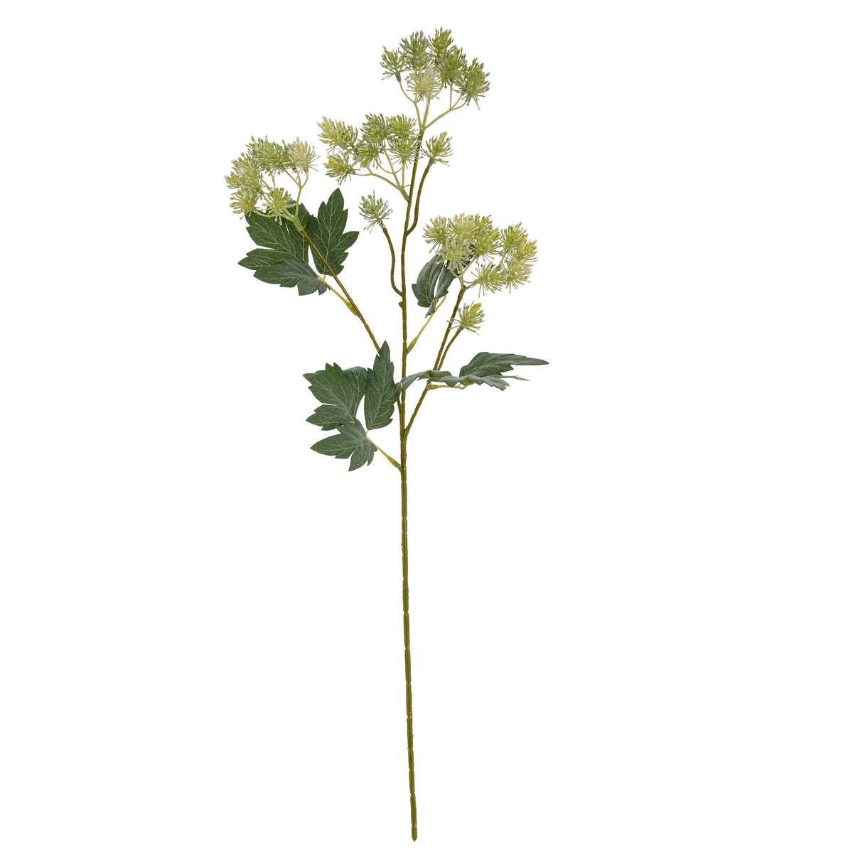 Full view of the green meadow artificial flower spray, with a long stem, branching pale flower clusters and dark lobed leaves against white.