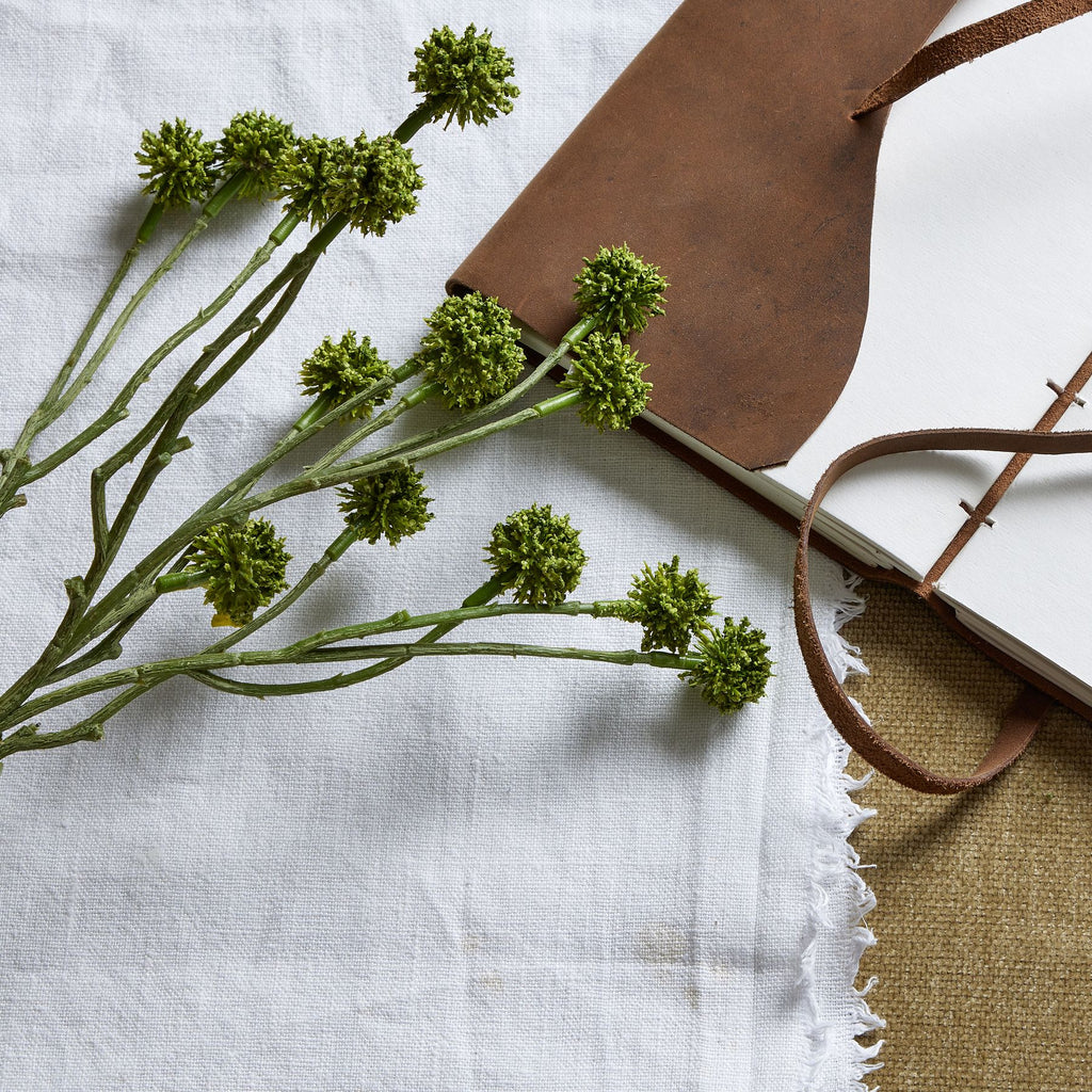 Close view of textured green spherical flower heads laid across white woven cloth beside an open brown-covered notebook.