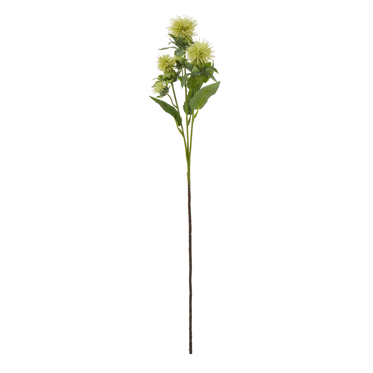Full view of a green artificial botanical spray with pale yellow-green spiky heads, branching foliage and a long brown lower stem on white.
