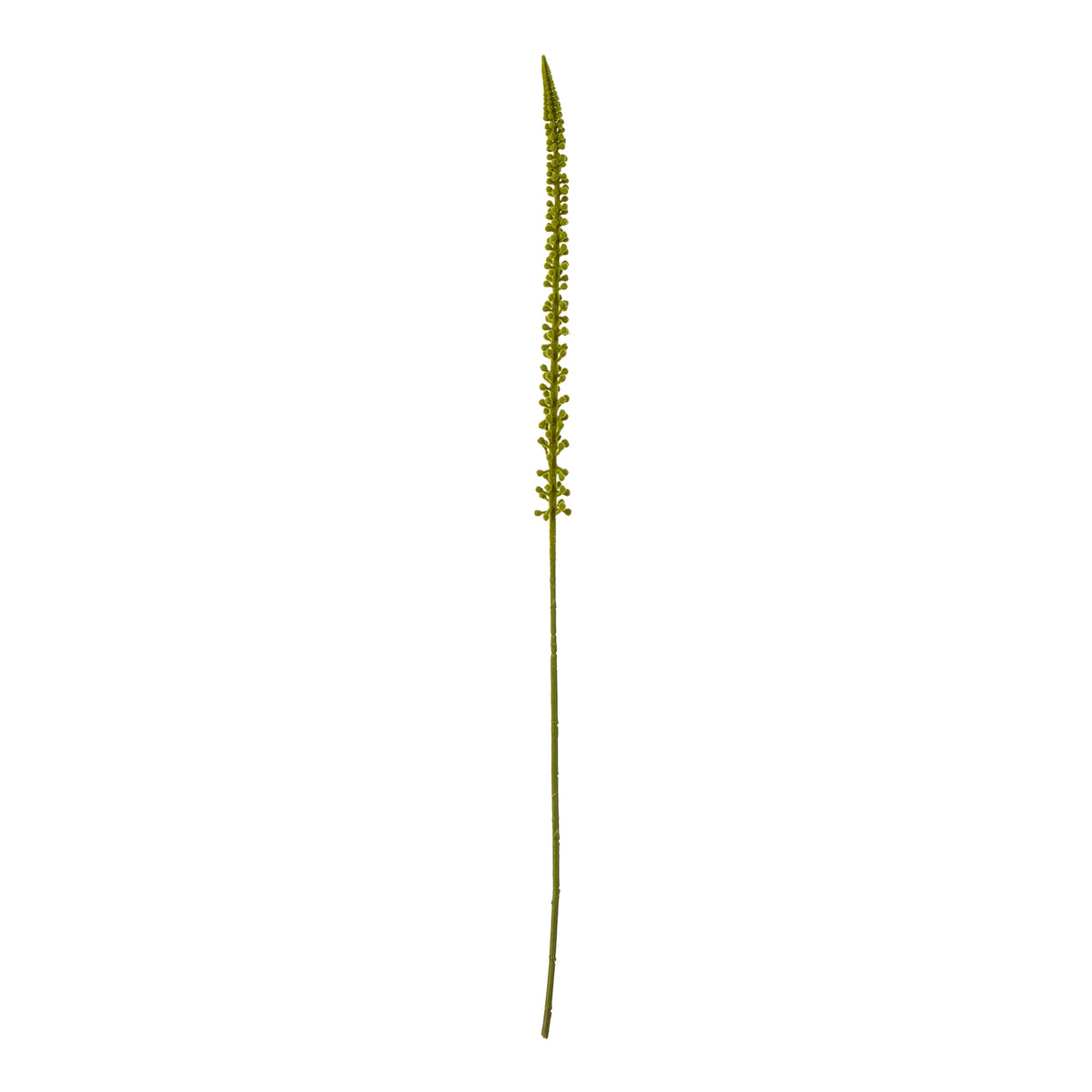 Full view of a slender green artificial stem with a narrow tapering flower spike against a white background.