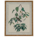 Front view of a portrait framed print showing two olive and pale birds among green leaves and fruit, with a broad pale surround and tan-gold beaded frame.