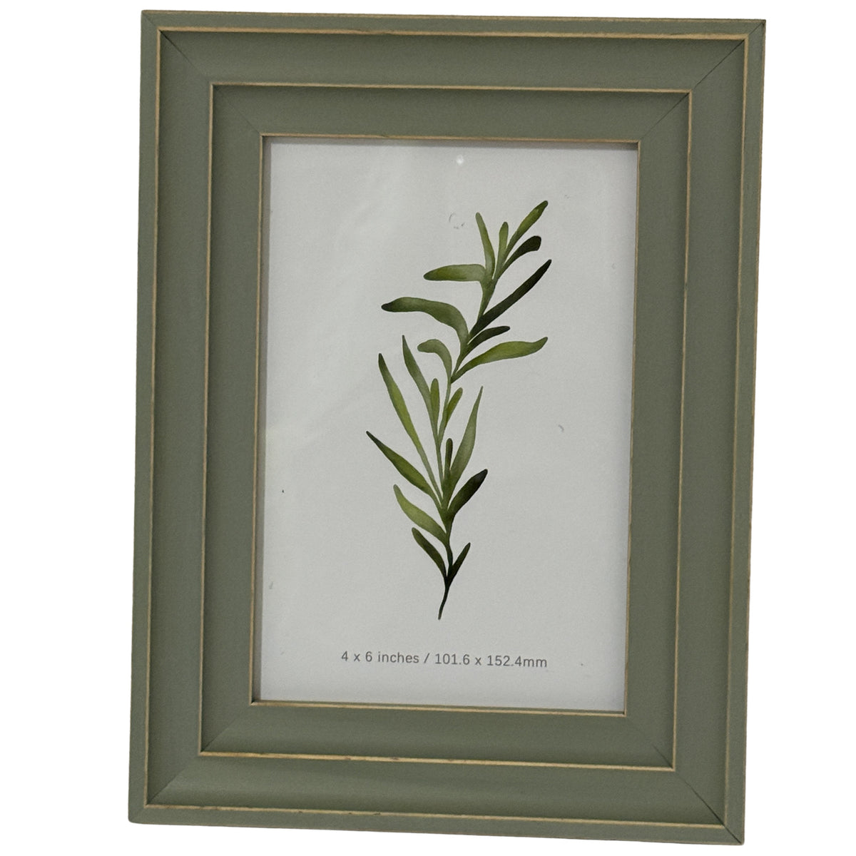 Front view of a green-grey rectangular photo frame with a layered surround, thin gold-tone lines and a leafy botanical insert marked 4 x 6 inches.
