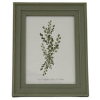 Front view of a green-grey rectangular photo frame with a layered surround, thin gold-tone lines and a botanical insert marked 5 x 7 inches.