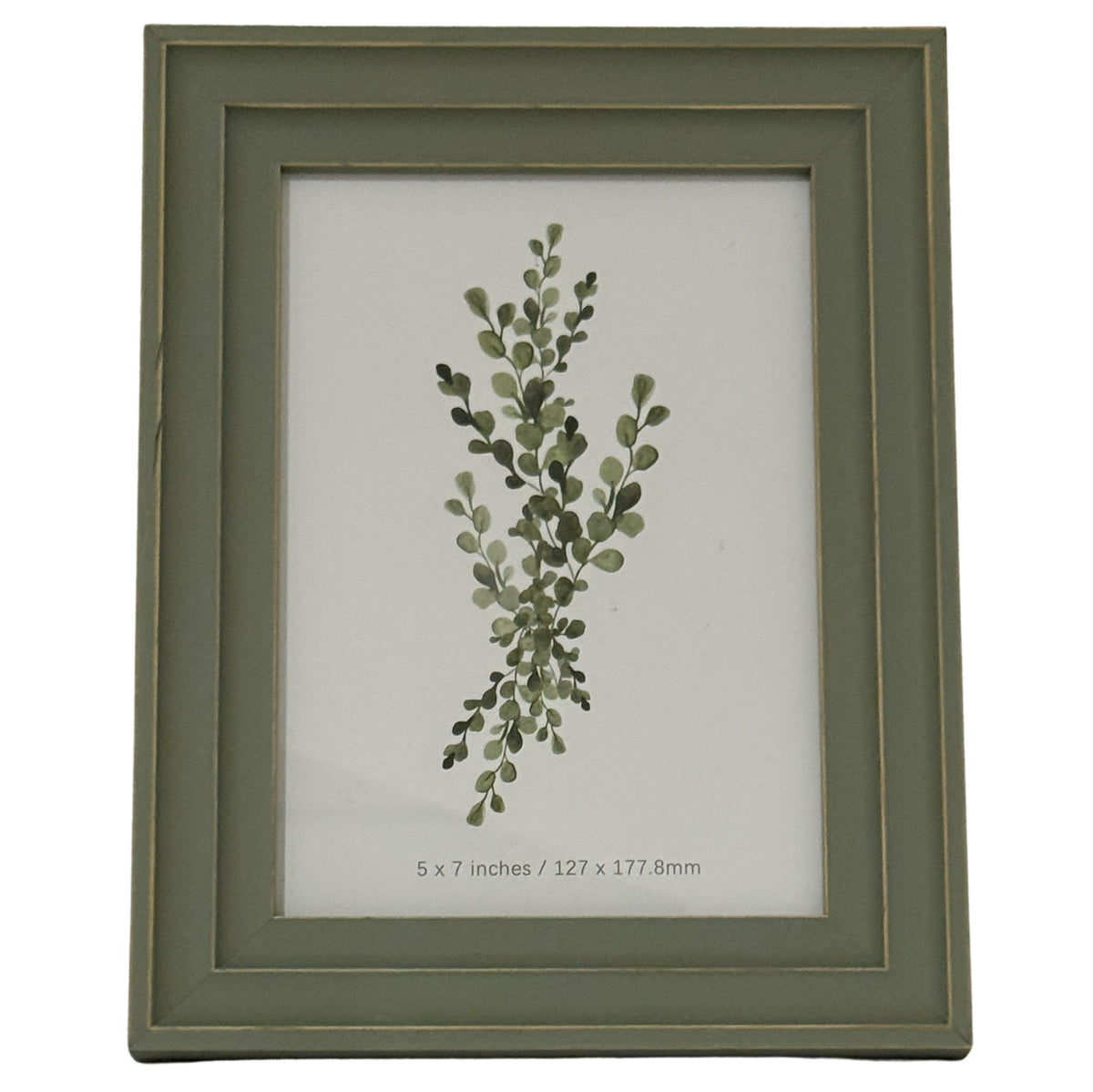 Front view of a green-grey rectangular photo frame with a layered surround, thin gold-tone lines and a botanical insert marked 5 x 7 inches.