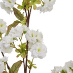 Close-up of layered white blossoms with pale green centres beside brown branches and green leaves with brown-tinted edges.