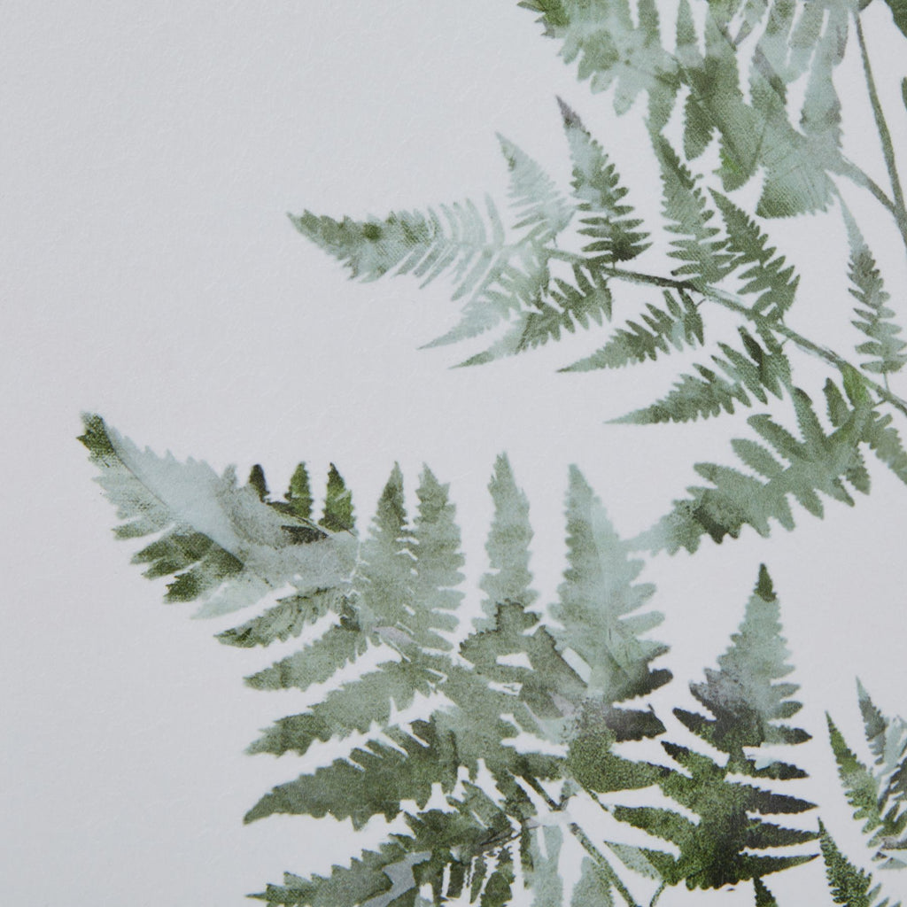 Detail of overlapping pale and dark green fern leaves against the subtly textured-looking white picture surface.