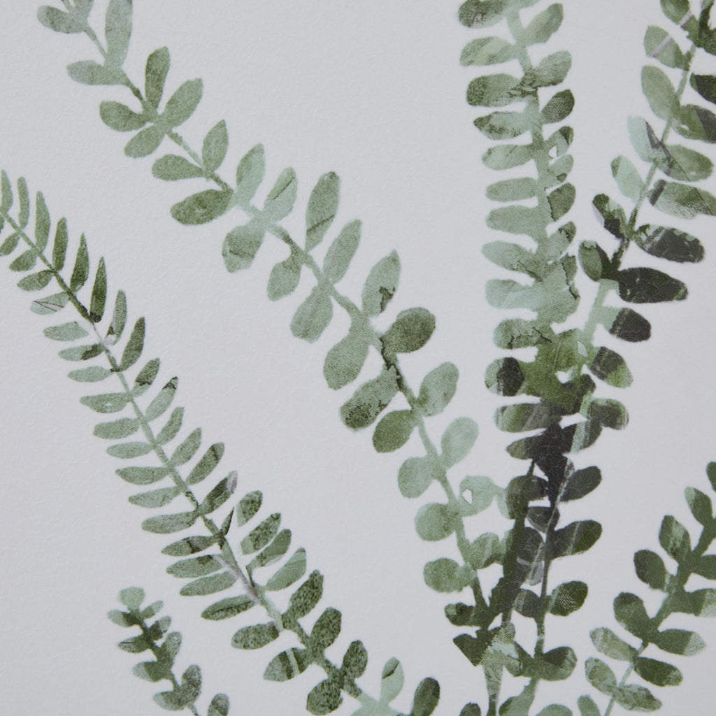 Detail of overlapping slender stems and rounded leaflets in pale and dark green against the white artwork background.