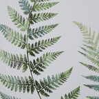 Detail of the fern print showing finely divided leaves in pale green, olive and blue-green washes against white.