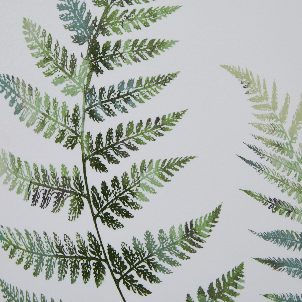 Detail of the fern print showing finely divided leaves in pale green, olive and blue-green washes against white.
