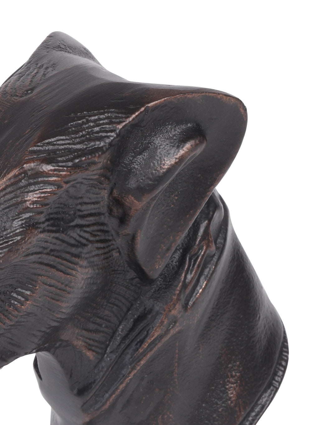 Close-up of the folded ear and textured cheek and neck, with bronze-toned highlights against the black finish.