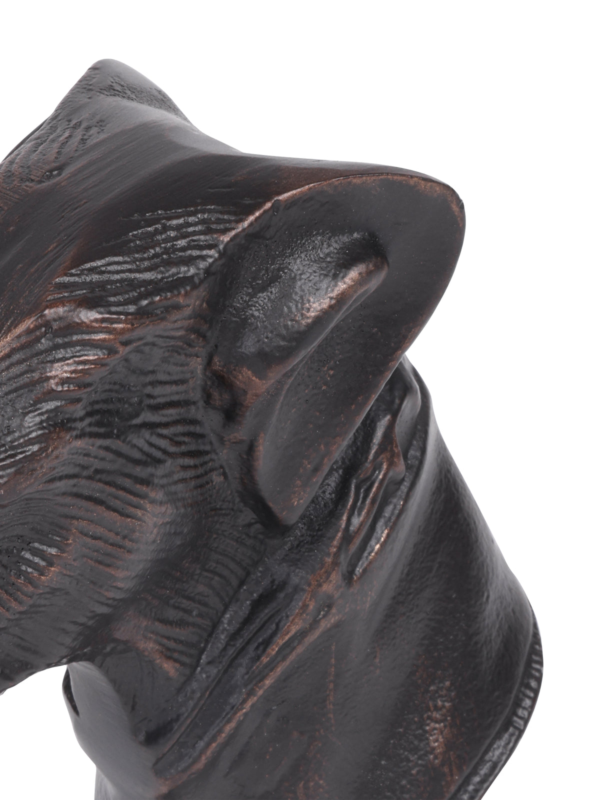 Close-up of the folded ear and textured cheek and neck, with bronze-toned highlights against the black finish.