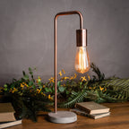 Copper-toned frame lamp with a glowing exposed bulb on a wooden surface, surrounded by books, green foliage and small yellow flowers.