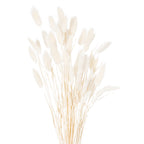 Upper section of the pale botanical bunch, with oval plume heads leaning at varied angles above gathered stems.