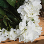 Close-up of overlapping off-white hydrangea petals and serrated green leaves with lighter vein markings on a wooden surface.