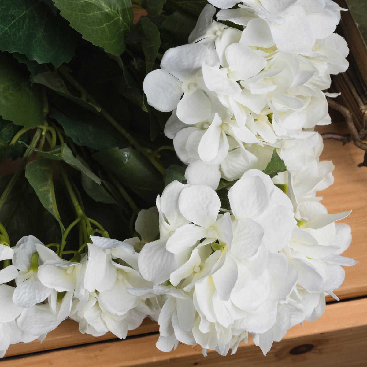 Close-up of overlapping off-white hydrangea petals and serrated green leaves with lighter vein markings on a wooden surface.