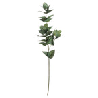Lanceleaf artificial foliage stem against white, with a long bare lower stem and branching clusters of oval and pointed green leaves.