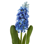 Close-up of curved blue petals and pale buds at the top of the artificial flower spike, with textured green leaves below.
