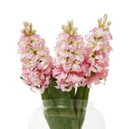 Three pink artificial flower spikes with pale buds and broad green leaves arranged in a clear rounded vase against white.