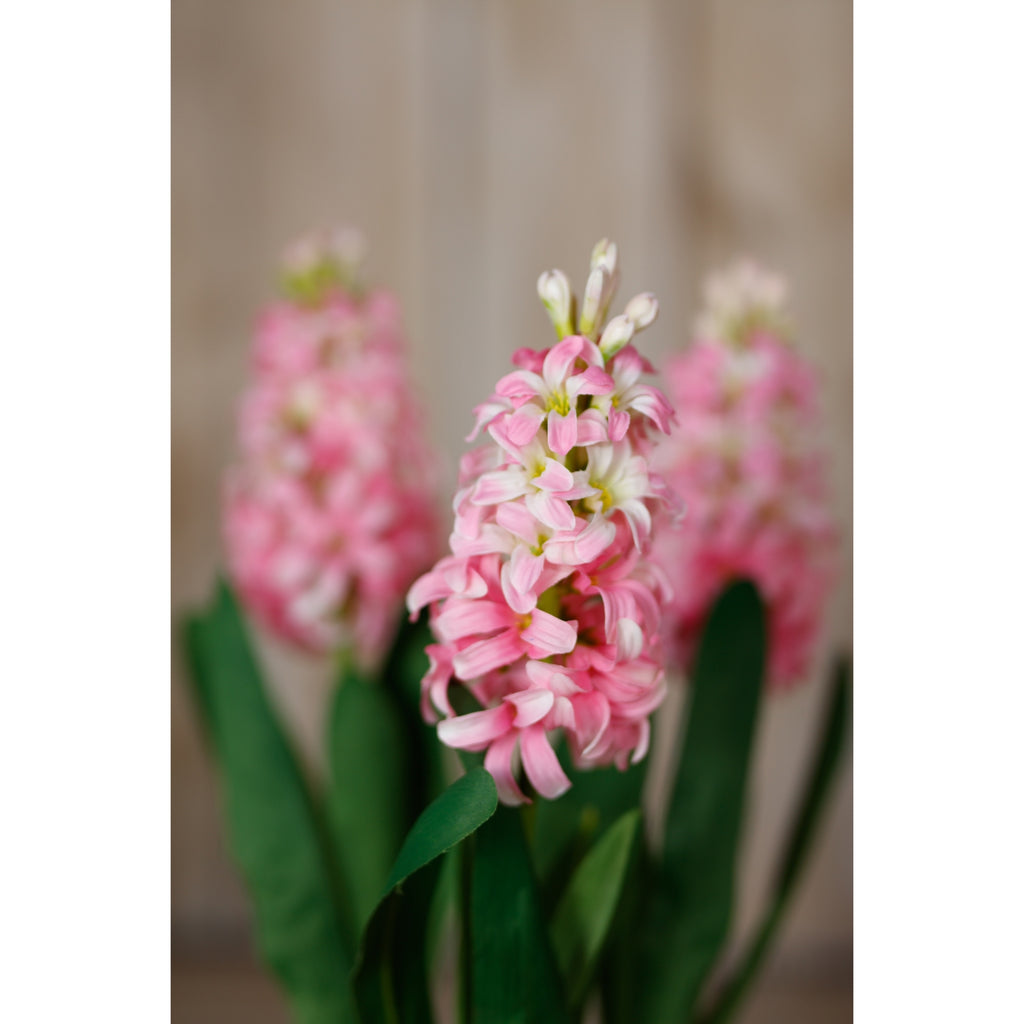 Close-up of the front pink flower spike and pale buds in a styled arrangement, with green leaves and two blurred flower spikes behind.