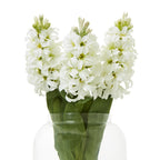 Three white artificial flower spikes grouped with broad green foliage in a clear rounded vase against a white background.