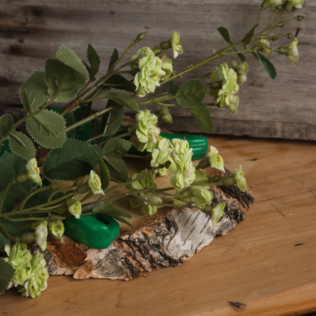 Close-up of pale-green layered meadow rose flowers, buds and serrated leaves laid diagonally over bark on a wooden surface.