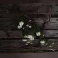 White artificial meadow rose spray laid diagonally across weathered wooden slats among twisting bare branches.