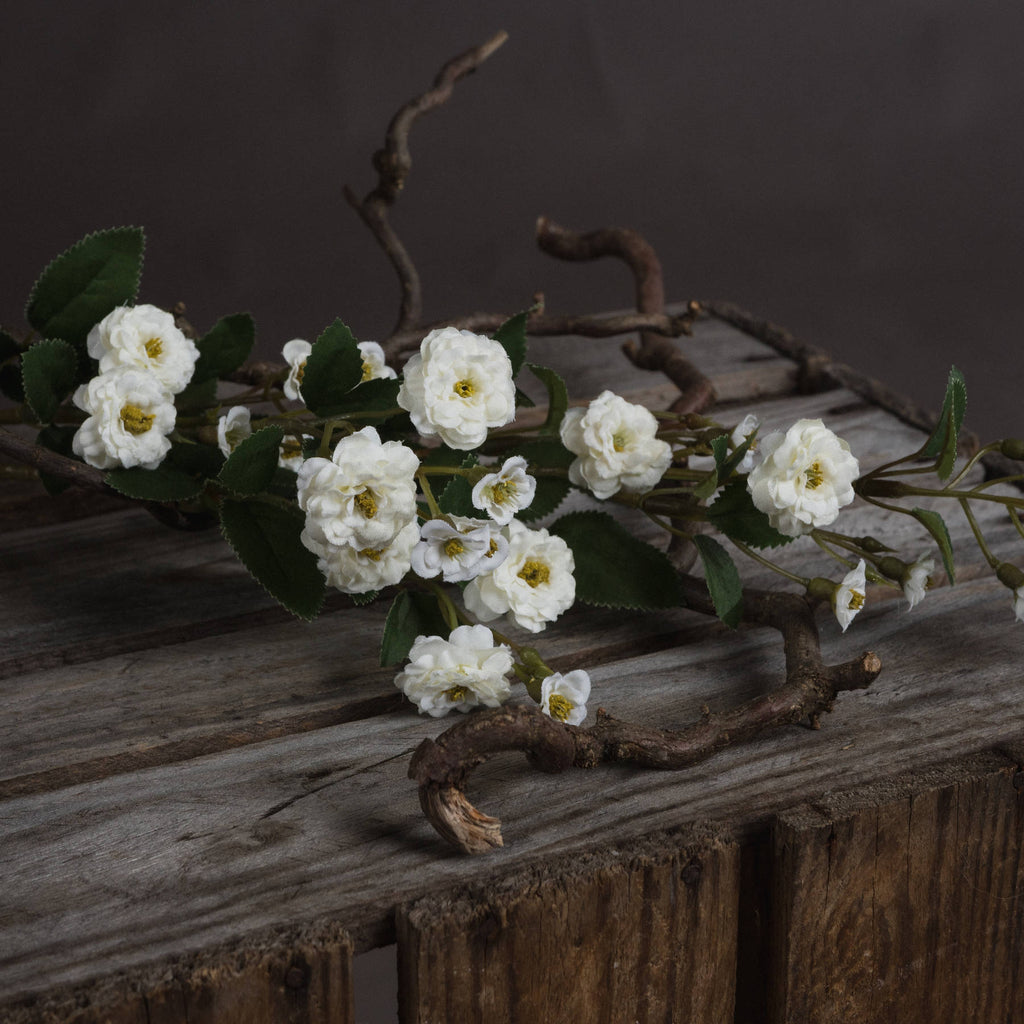 Close view of layered white flowers with yellow centres, small buds and serrated green leaves resting on weathered wood.