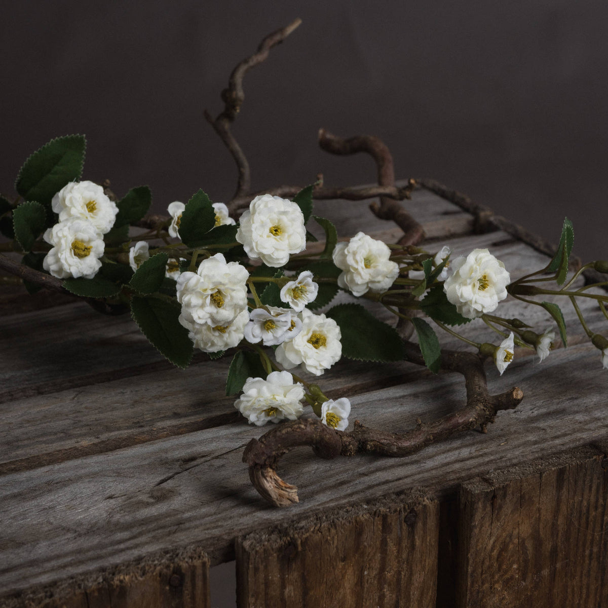 Close view of layered white flowers with yellow centres, small buds and serrated green leaves resting on weathered wood.