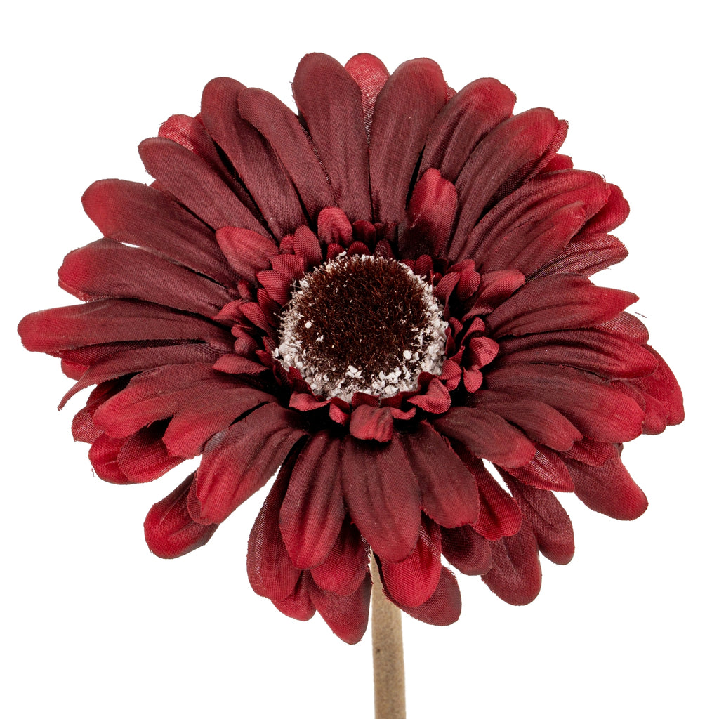 Close-up of layered burgundy ray petals around a textured dark brown centre with pale flecks at its edge.