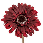 Close-up of layered burgundy ray petals around a textured dark brown centre with pale flecks at its edge.