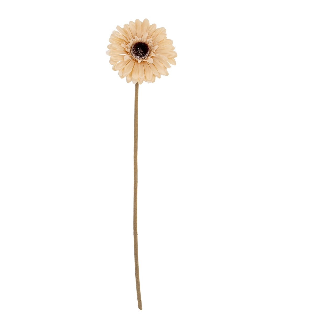 Full view of a cream artificial flower with layered petals, a dark centre and a long green-brown stem against white.