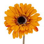 Close-up of overlapping orange ray petals around a textured dark round centre edged with pale flecks.