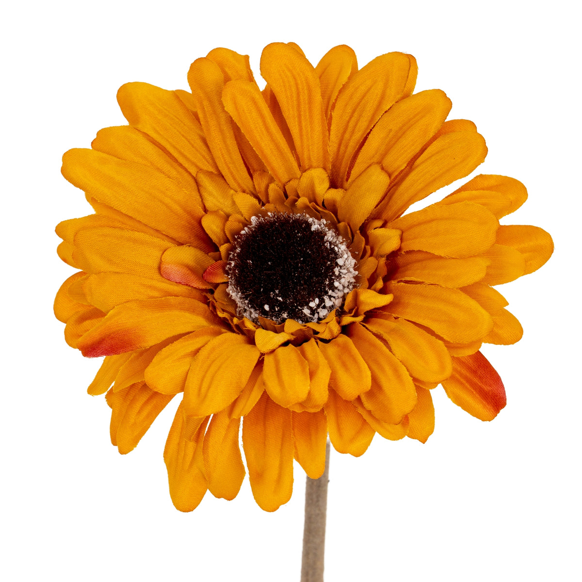 Close-up of overlapping orange ray petals around a textured dark round centre edged with pale flecks.