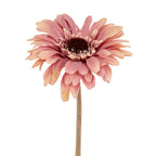 Close-up of overlapping pink petals with pale tips surrounding a dark textured central disc, with the upper stem visible below.