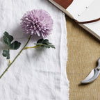 Close view of the layered light-purple bloom and green leaves resting on white cloth beside an open notebook and partly visible secateurs.