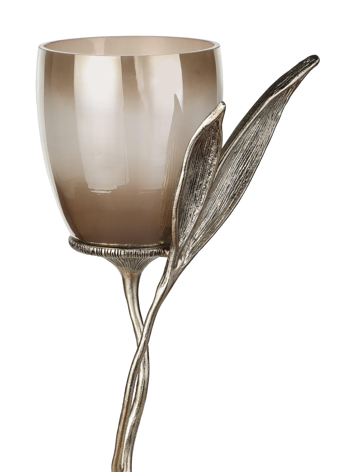 Close-up of the ombre glass vessel and long, finely ridged leaves wrapping around its side.