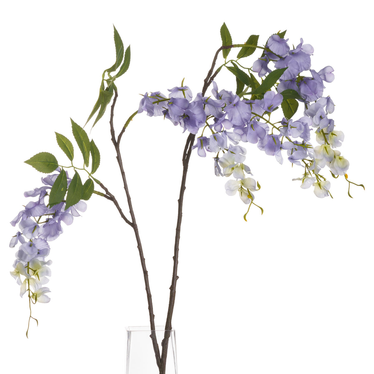 Branching brown stems with cascading lilac and creamy white flowers and green leaves, shown in a clear vase against a white background.