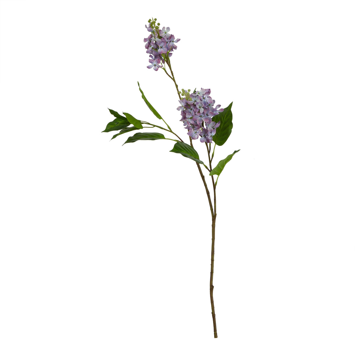 Full view of an artificial flower stem with two purple-lilac flower clusters, broad green leaves and a long brown branching stem on white.