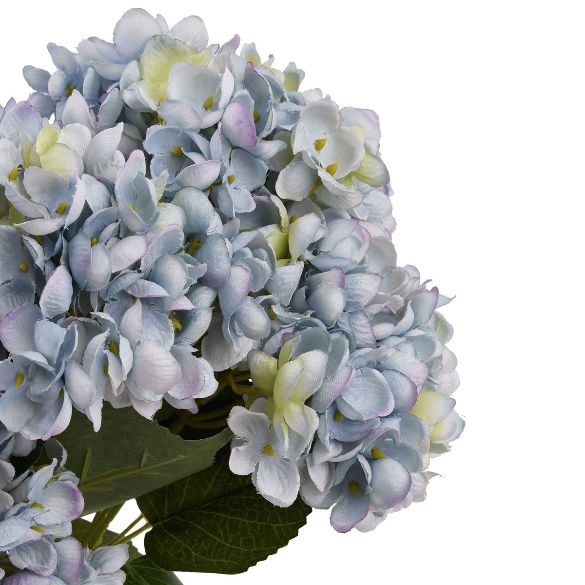 Close-up of overlapping pale blue, lilac and muted-green petals with small yellow-green centres and veined dark-green leaves beneath.