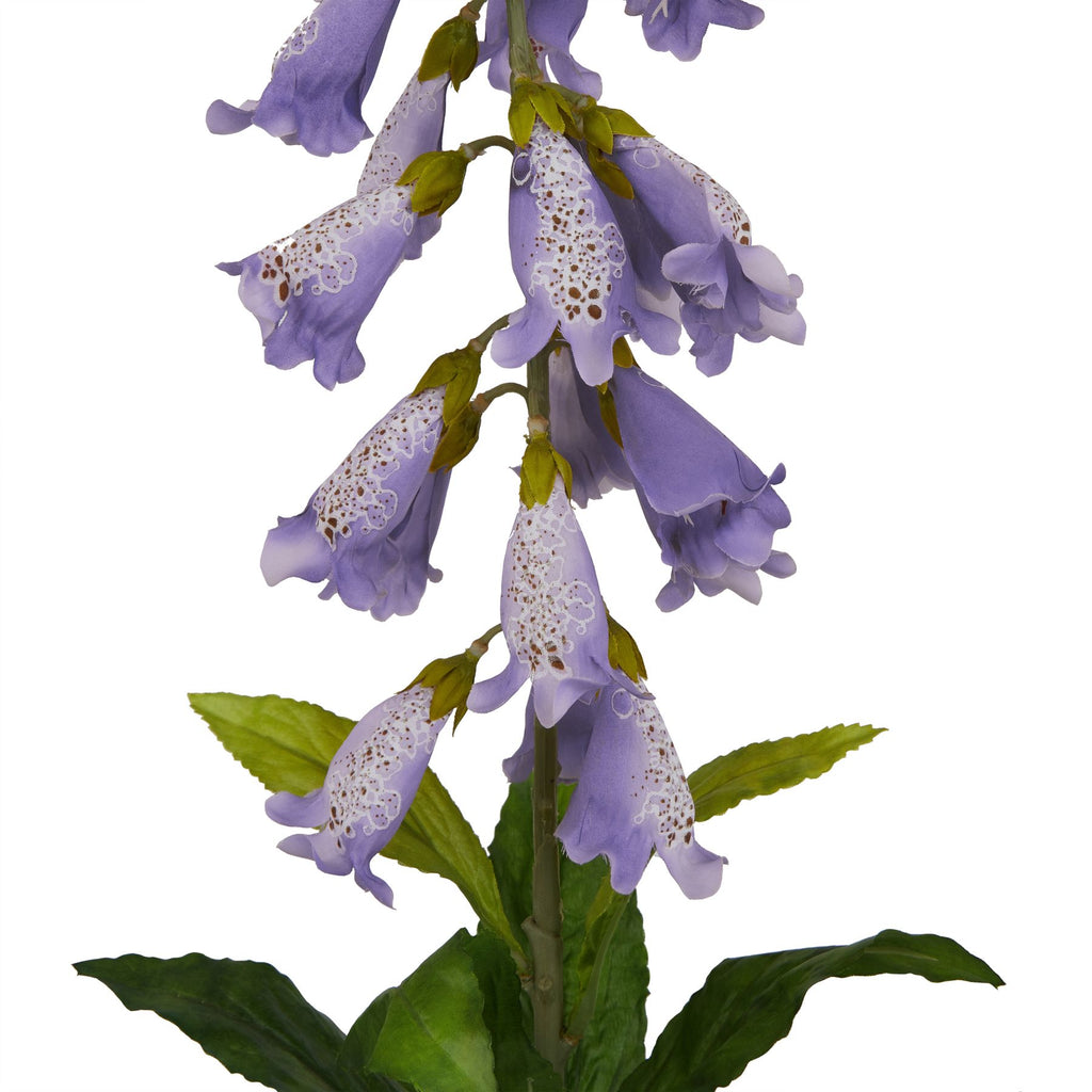 Close-up of hanging lilac bell-shaped flowers with white patterned patches and brown speckles, alongside the green stem and leaves.