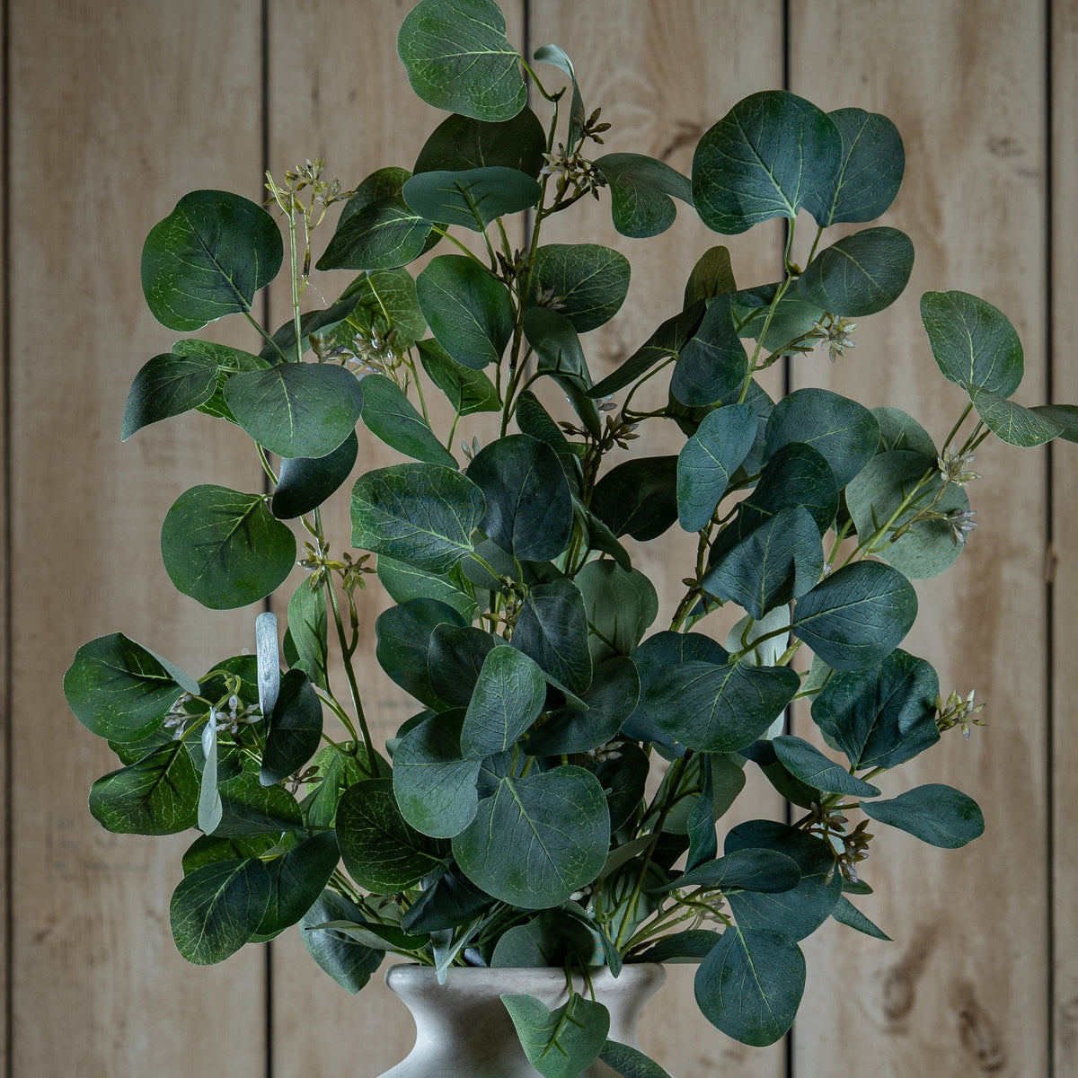 Close view of grouped eucalyptus foliage above a pale vase rim, showing rounded green leaves with fine pale veins against wood panelling.